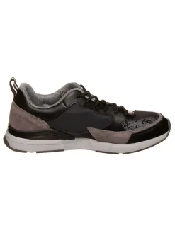GANT Footwear Sneakers^Sneakers "Andrew" in Schwarz/ Braun