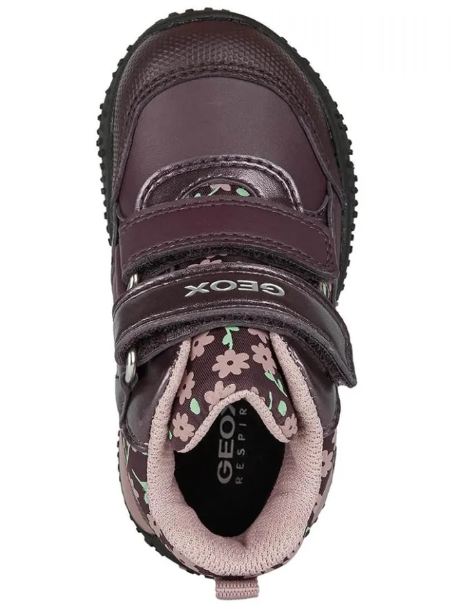 Sneakers "Baltic" in Lila>Geox Clearance