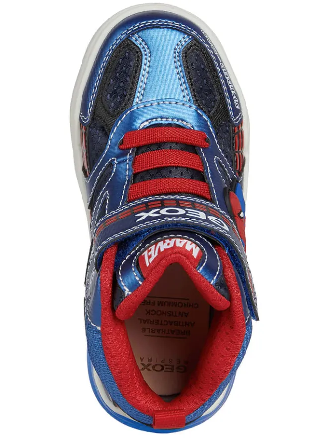Sneakers "Grayjay" in Blau/ Rot>Geox