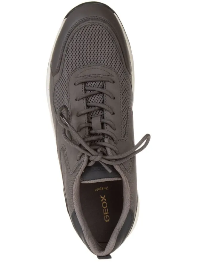 Sneakers in Grau>Geox Best