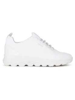 Sneakers in Weiß>Geox New