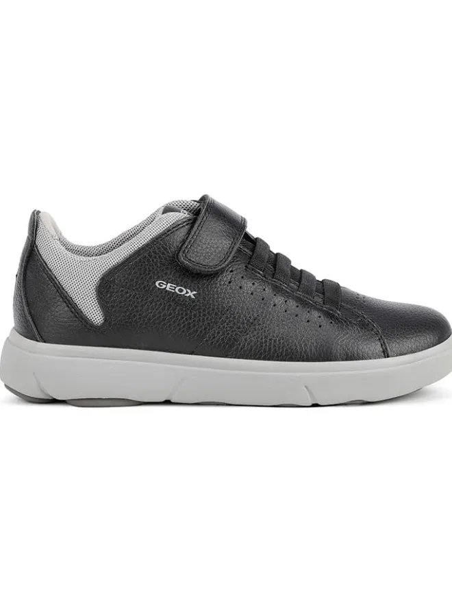 Geox Sneakers·Sneakers Low^Sneakers "Nebcup" in Schwarz