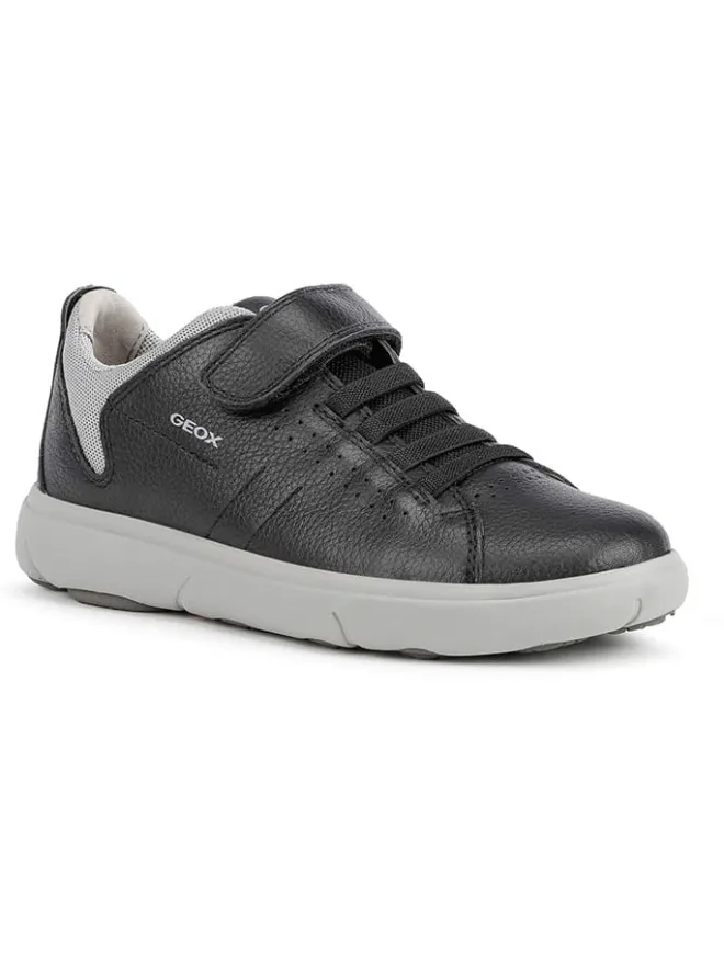 Geox Sneakers·Sneakers Low^Sneakers "Nebcup" in Schwarz