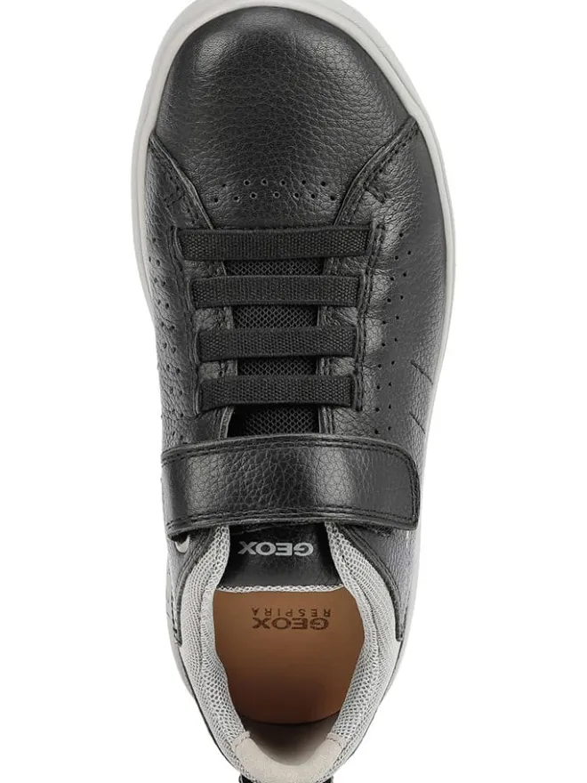 Geox Sneakers·Sneakers Low^Sneakers "Nebcup" in Schwarz
