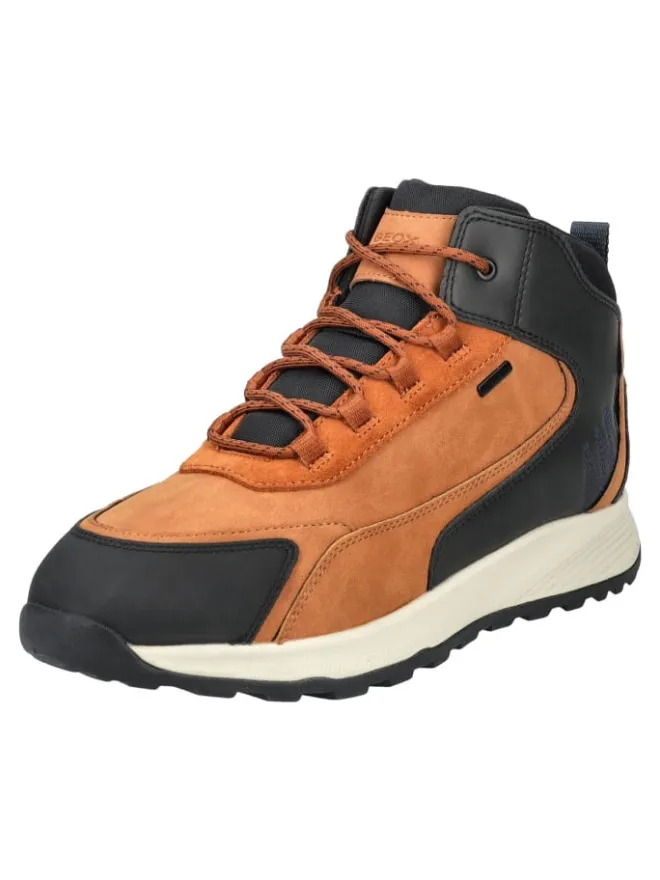 Stiefelette in Braun/Schwarz>Geox Outlet