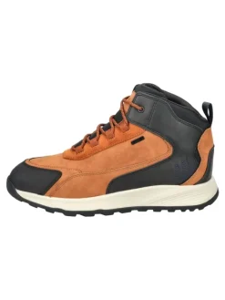 Stiefelette in Braun/Schwarz>Geox Outlet