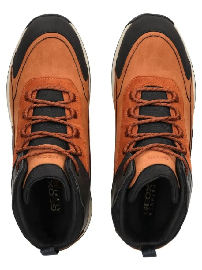 Stiefelette in Braun/Schwarz>Geox Outlet