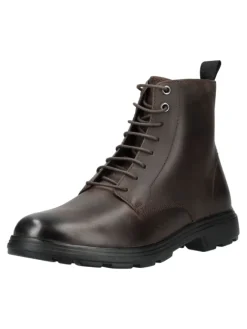 Stiefelette in Coffee>Geox Online