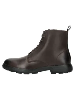 Stiefelette in Coffee>Geox Online