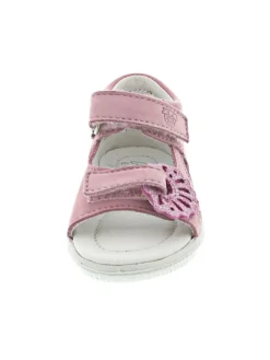 Sylvie Minilette Rosa><noscript><img width=