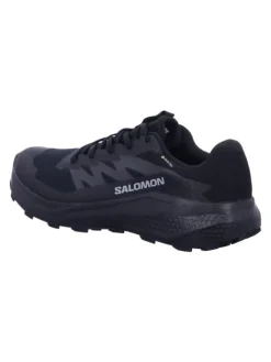 Wanderschuhe ALPHAGLIDE GTX in Schwarz><noscript><img width=
