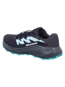SALOMON Outdoorschuhe^Wanderschuhe ALPHAGLIDE GTX W in Grau