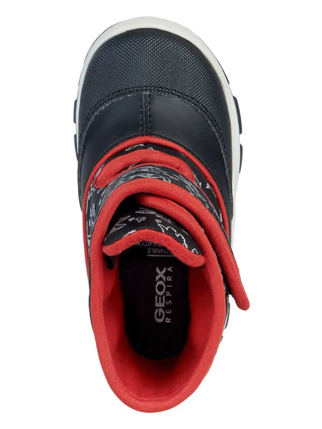 Winterboots "Flanfil" in Schwarz>Geox New