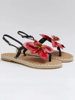 Zehensandalen in Schwarz/ Rot>Bellucci Discount